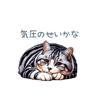 やる気ない猫ちゃん【連絡・面白い】（個別スタンプ：10）