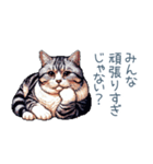 やる気ない猫ちゃん【連絡・面白い】（個別スタンプ：11）