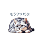 やる気ない猫ちゃん【連絡・面白い】（個別スタンプ：12）
