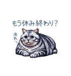 やる気ない猫ちゃん【連絡・面白い】（個別スタンプ：16）