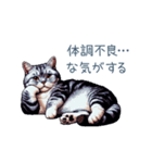 やる気ない猫ちゃん【連絡・面白い】（個別スタンプ：18）
