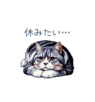 やる気ない猫ちゃん【連絡・面白い】（個別スタンプ：19）