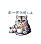 やる気ない猫ちゃん【連絡・面白い】（個別スタンプ：21）