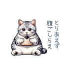 やる気ない猫ちゃん【連絡・面白い】（個別スタンプ：22）