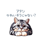 やる気ない猫ちゃん【連絡・面白い】（個別スタンプ：24）