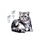 やる気ない猫ちゃん【連絡・面白い】（個別スタンプ：28）