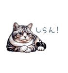 やる気ない猫ちゃん【連絡・面白い】（個別スタンプ：31）
