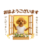 飛び出す癒しプードルのラフな敬語（個別スタンプ：1）
