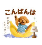 飛び出す癒しプードルのラフな敬語（個別スタンプ：3）