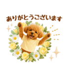 飛び出す癒しプードルのラフな敬語（個別スタンプ：4）