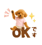 飛び出す癒しプードルのラフな敬語（個別スタンプ：5）