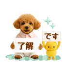 飛び出す癒しプードルのラフな敬語（個別スタンプ：7）