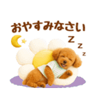 飛び出す癒しプードルのラフな敬語（個別スタンプ：11）