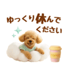 飛び出す癒しプードルのラフな敬語（個別スタンプ：12）
