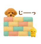 飛び出す癒しプードルのラフな敬語（個別スタンプ：21）