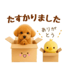 飛び出す癒しプードルのラフな敬語（個別スタンプ：23）