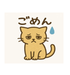 金色の猫（個別スタンプ：8）