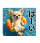 ずっと使える♡夏チワワ（個別スタンプ：3）