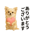 ずっと使える♡夏チワワ（個別スタンプ：6）