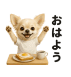 ずっと使える♡夏チワワ（個別スタンプ：13）