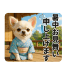 ずっと使える♡夏チワワ（個別スタンプ：31）