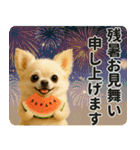 ずっと使える♡夏チワワ（個別スタンプ：32）