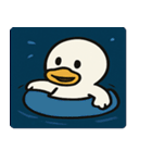 花火のアヒル@SFW（個別スタンプ：16）