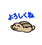 カメ吉とくるまるちゃん7【動く】（個別スタンプ：10）