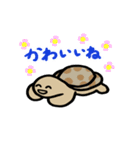 カメ吉とくるまるちゃん7【動く】（個別スタンプ：12）