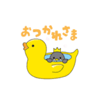 動く！ペルンの日常使い（個別スタンプ：20）