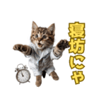 サラリーマン子猫の1日（個別スタンプ：1）