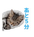 サラリーマン子猫の1日（個別スタンプ：2）