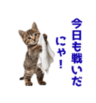 サラリーマン子猫の1日（個別スタンプ：5）