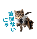 サラリーマン子猫の1日（個別スタンプ：6）