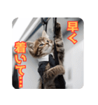 サラリーマン子猫の1日（個別スタンプ：10）