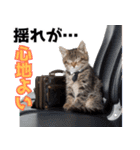 サラリーマン子猫の1日（個別スタンプ：11）
