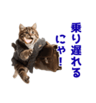 サラリーマン子猫の1日（個別スタンプ：13）