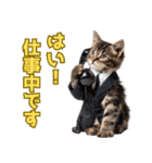 サラリーマン子猫の1日（個別スタンプ：17）