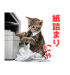 サラリーマン子猫の1日（個別スタンプ：18）
