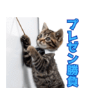 サラリーマン子猫の1日（個別スタンプ：21）