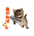 サラリーマン子猫の1日（個別スタンプ：23）