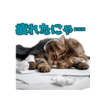 サラリーマン子猫の1日（個別スタンプ：24）