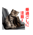 サラリーマン子猫の1日（個別スタンプ：34）