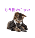 サラリーマン子猫の1日（個別スタンプ：35）
