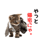 サラリーマン子猫の1日（個別スタンプ：36）