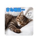 サラリーマン子猫の1日（個別スタンプ：40）