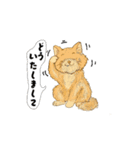 アクションk-gigi31（個別スタンプ：1）