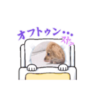 プリティマクベル（個別スタンプ：1）