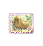 プリティマクベル（個別スタンプ：7）