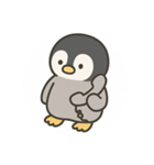 ペンギンくんのスタンプ2（個別スタンプ：14）